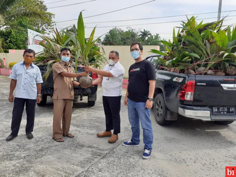 Penyerahan bantuan bibit pohon kelapa dalam dari PT Semen Padang diserahkan Staf Health Safety Environment (HSE) PT Semen Padang Alif Yuza  kepada Plt Kabid Perkebunan Dinas Pertanian Kabupaten Dharmasraya Ijhon, Senin (18/10/2021). IST