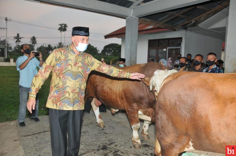 Gubernur Sumatera Barat H. Mahyeldi Ansharullah meninjau UPTD Balai Pengembangan Teknologi dan Sumber Daya (BPTSD) Tuah Sakato sebagai Balai Induk Benih (BIB) Dinas Peternakan dan Kesehatan Hewan Sumbar, Payakumbuh, Kamis (4/3/2021).